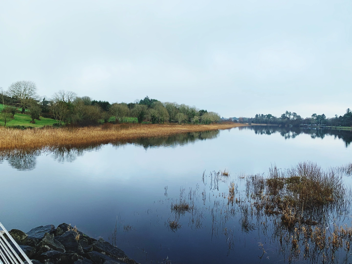 An image depicting the trail Raheens Wood Trail and its surrounding area.