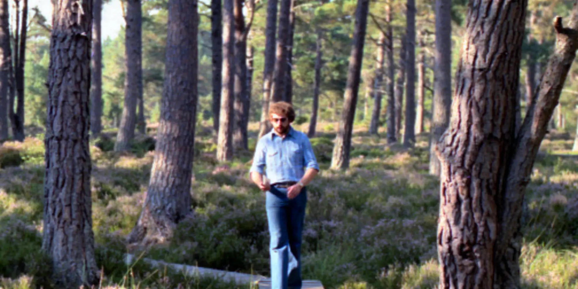 An image depicting the trail Carrbridge Path - Railway Wood Walk and its surrounding area.