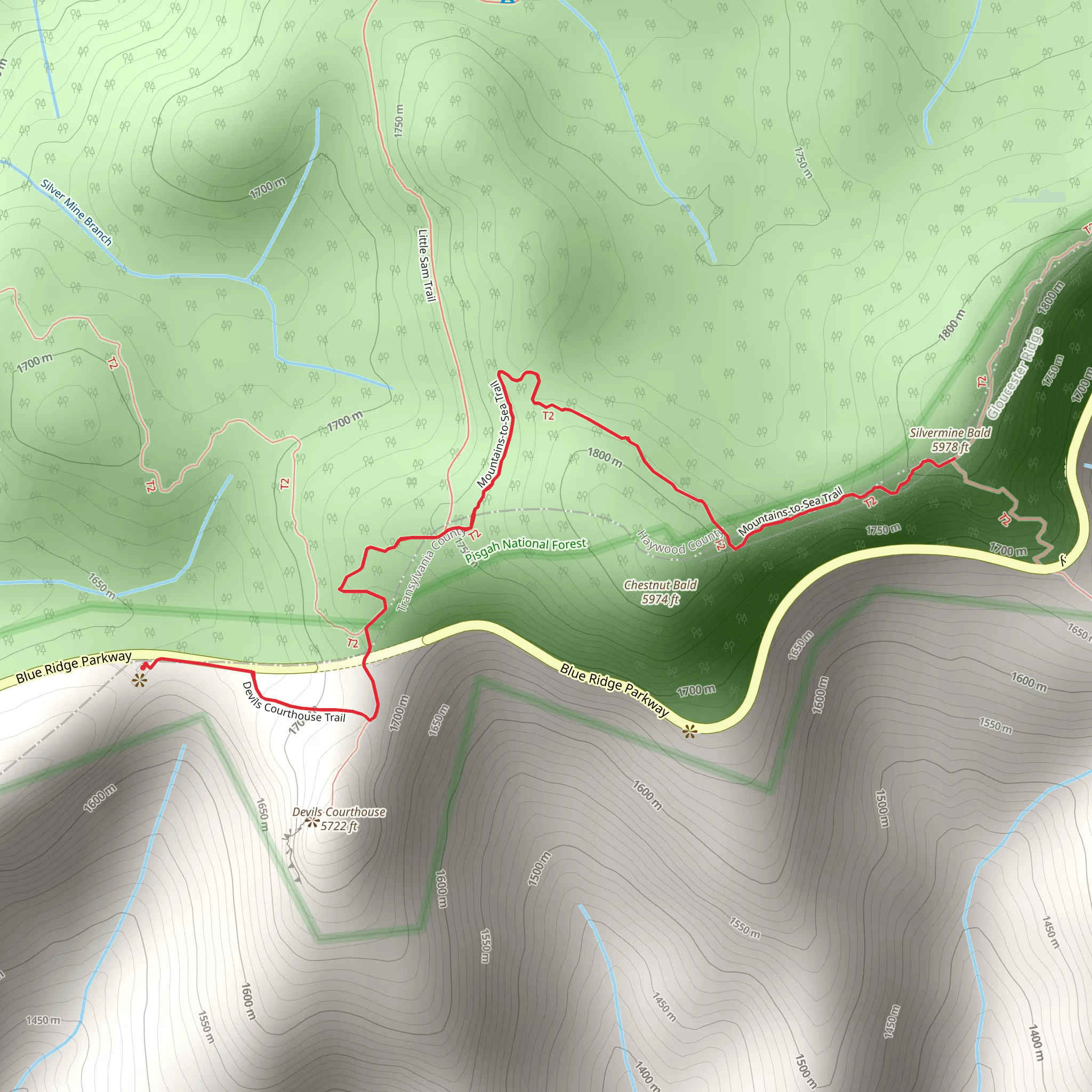 Silvermine Bald via Mount to Sea Trail mobile static map