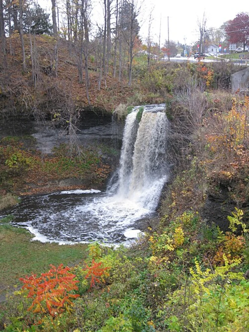 An image depicting the trail Wolcott Falls Park and its surrounding area.