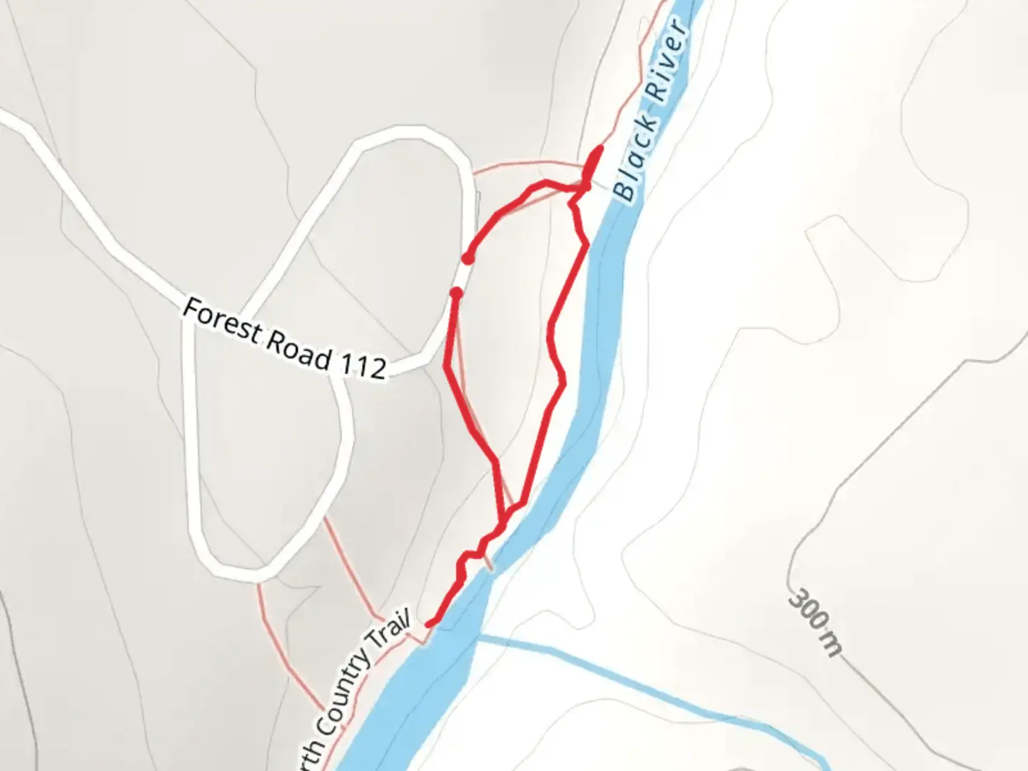 An image depicting the trail Black River and North Country Trail and its surrounding area.