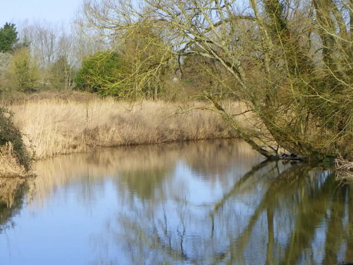 An image depicting the trail Salisbury Circular Walk and its surrounding area.