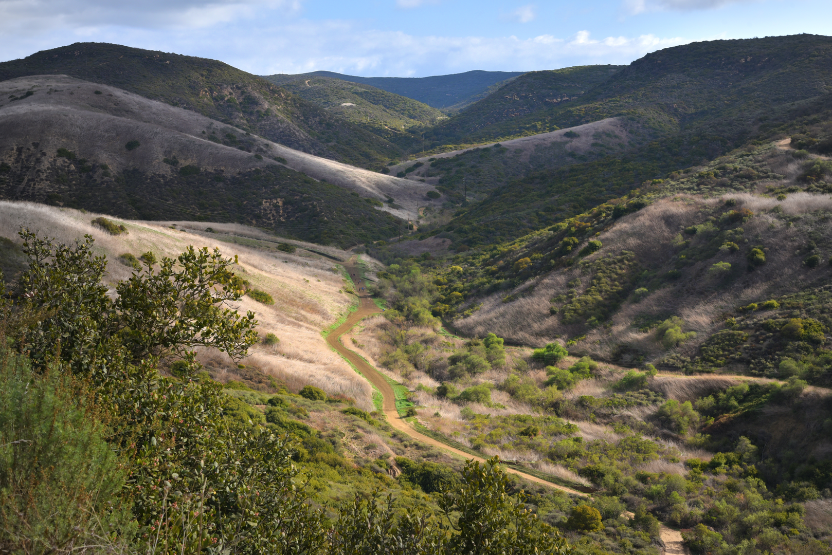 An image depicting the trail East Cut Across, Moro Ridge Spur and No Name Ridge Loop and its surrounding area.