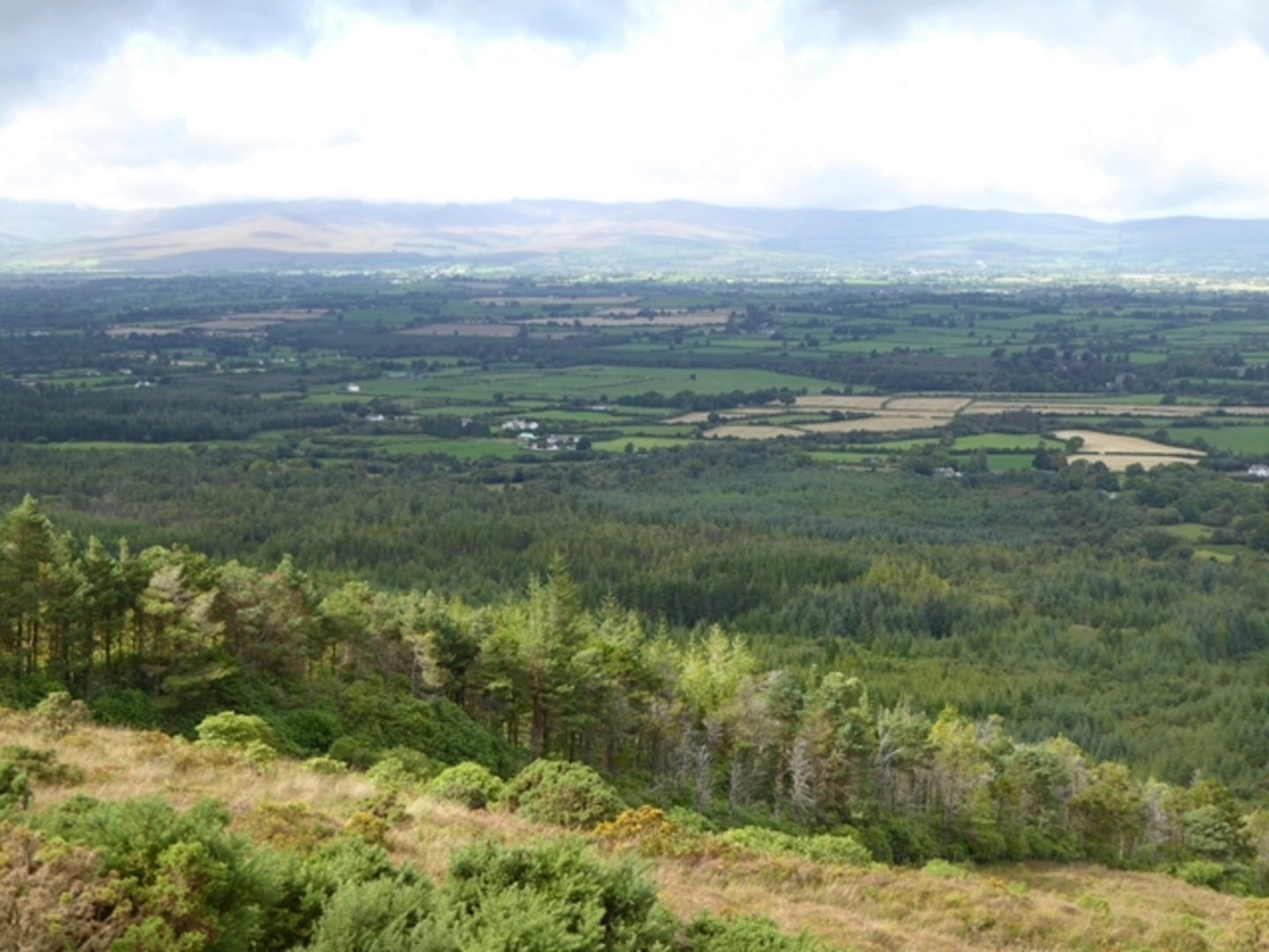 An image depicting the trail Knockmealdown Mountains Loop and its surrounding area.