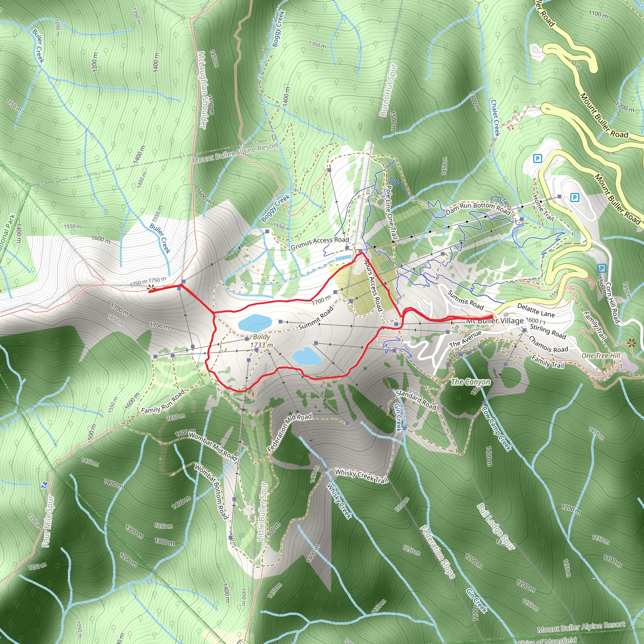 Mt Buller Summit Nature Walk mobile static map