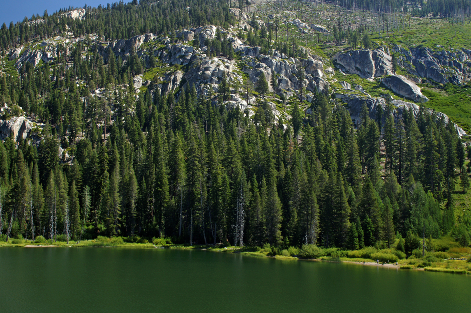 An image depicting the trail Sotcher Lake Loop Trail and its surrounding area.