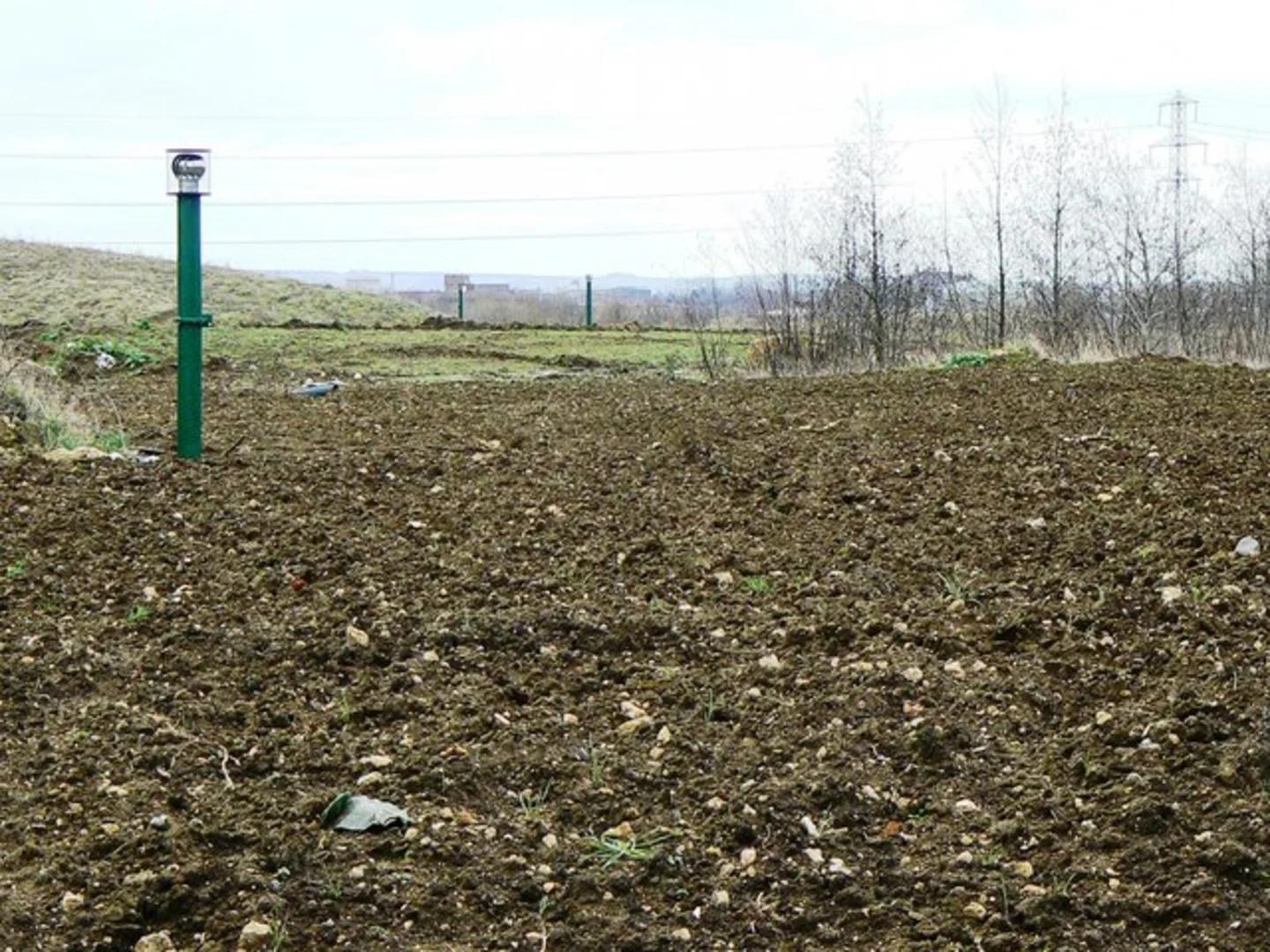 An image depicting the trail Shaw Forest Park Walk and its surrounding area.