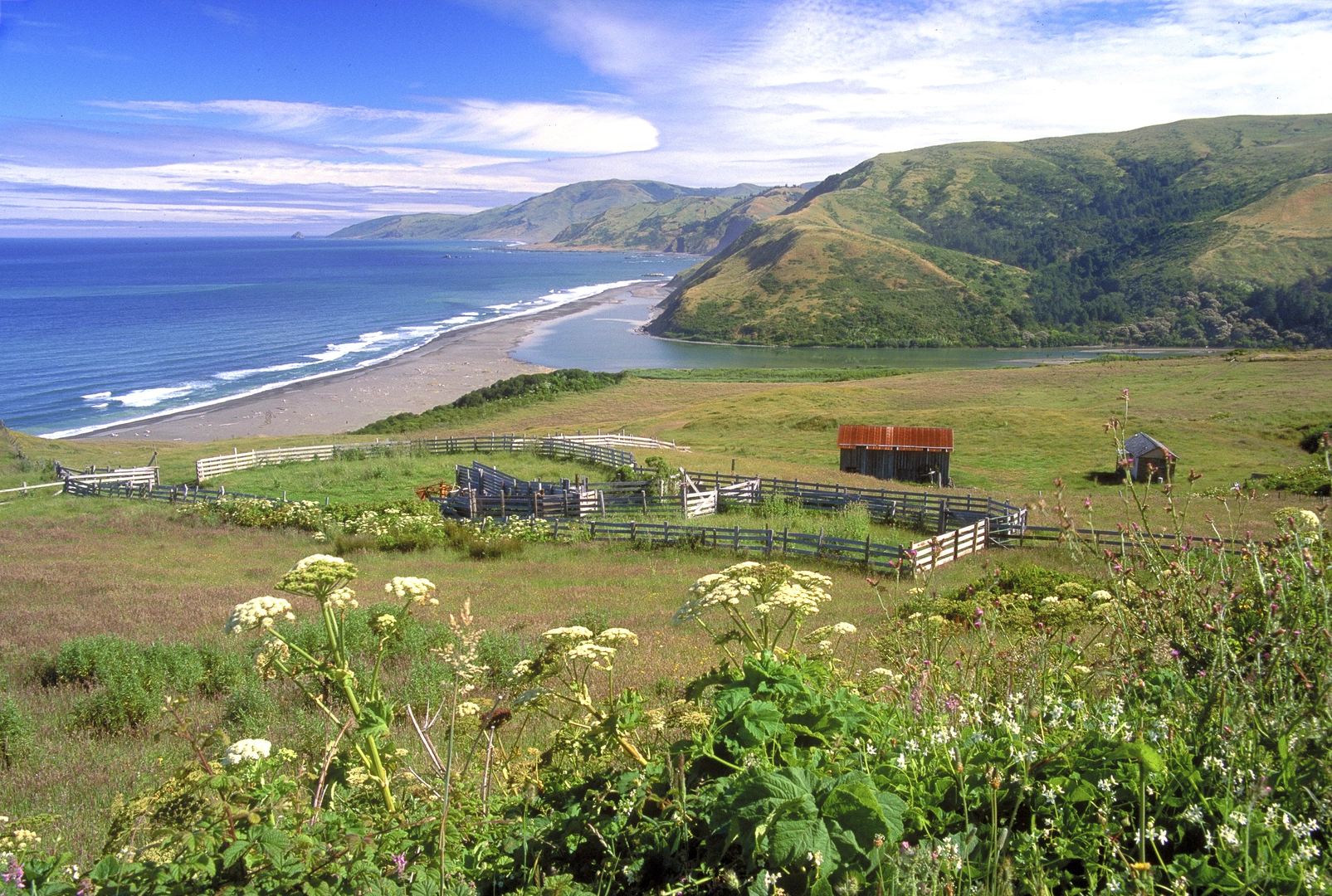 An image depicting the trail Spanish Ridge Trail and Lost Coast Loop Trail and its surrounding area.