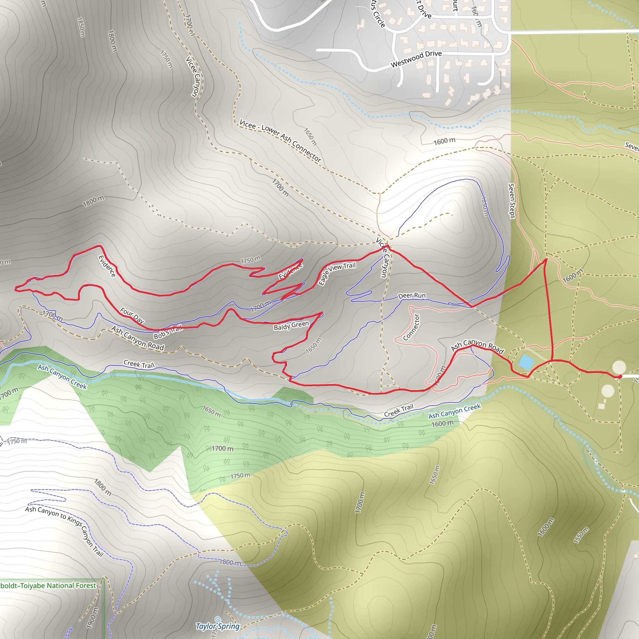 Baldy Green and Evidence Loop mobile static map