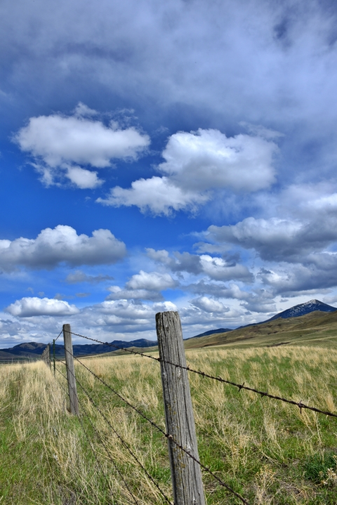An image depicting the trail White Wolf Trail via North Fork Highwood Creek Trail and its surrounding area.