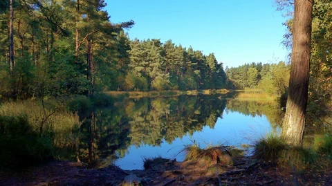 An image depicting the trail Red Squirrel Loop Trail via Bordie Loch and its surrounding area.
