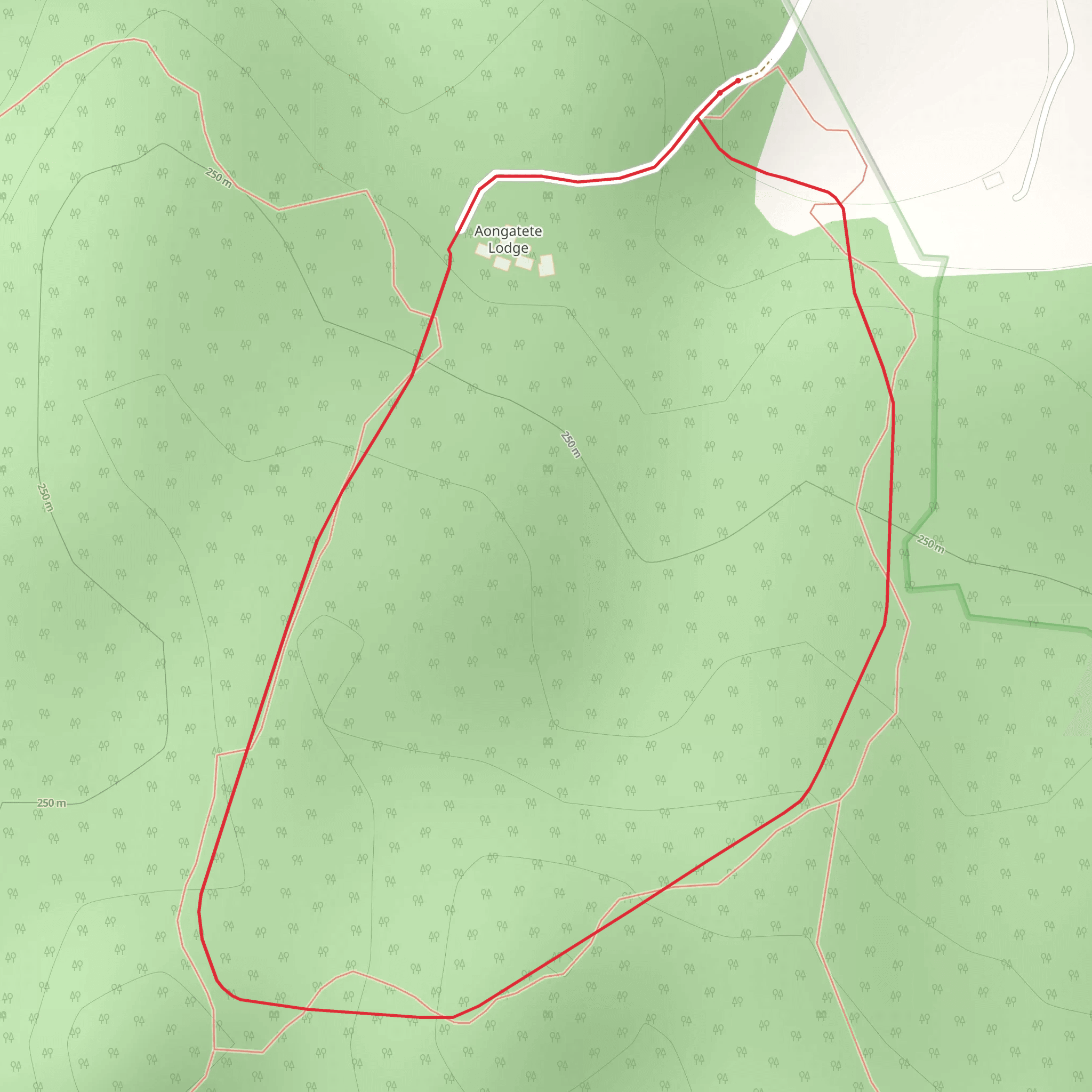 Aongatete Short Loop Walk mobile static map