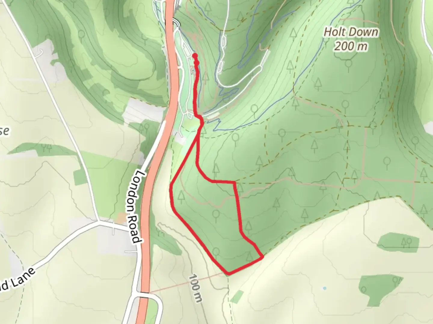 An image depicting the trail Short Woodland Trail and Stauntan Way and its surrounding area.
