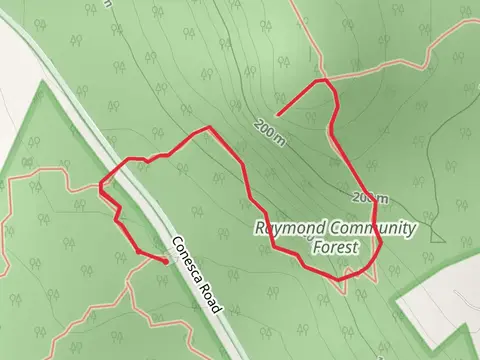 Raymond Community Forest