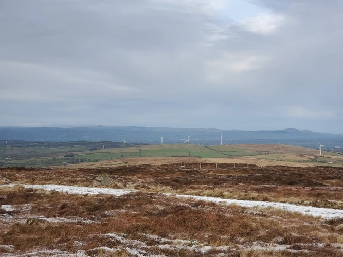 Divis and Black Mountain Loop