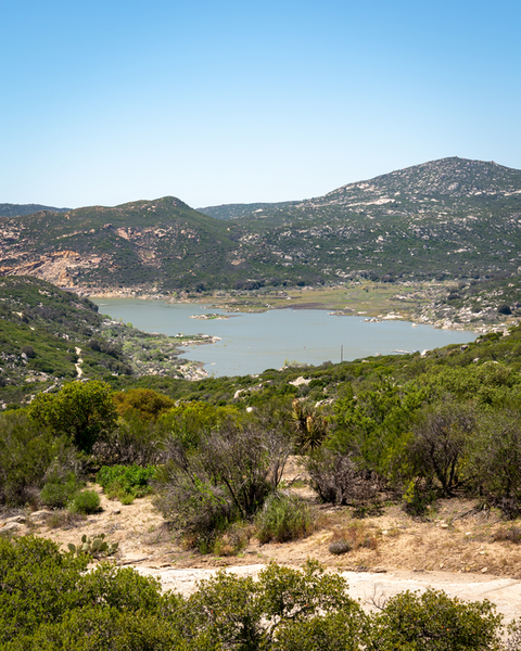 An image depicting the trail Gold Strike Singletrack via Bronco Peak Connector Trail and its surrounding area.