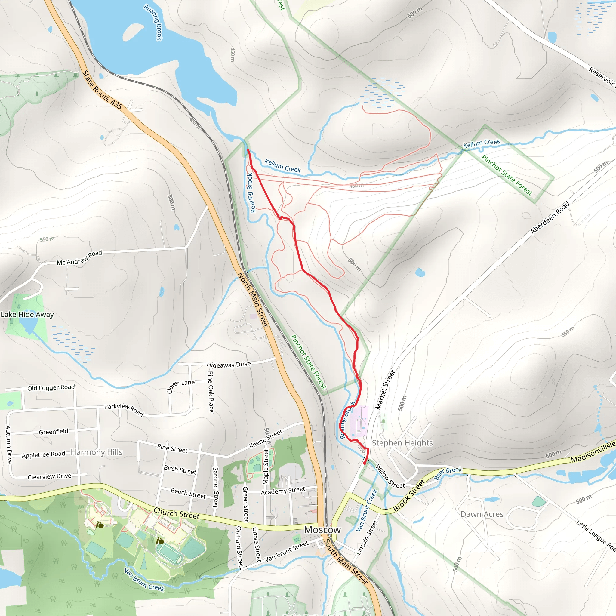 Roaring Brook Trail via Market Street mobile static map