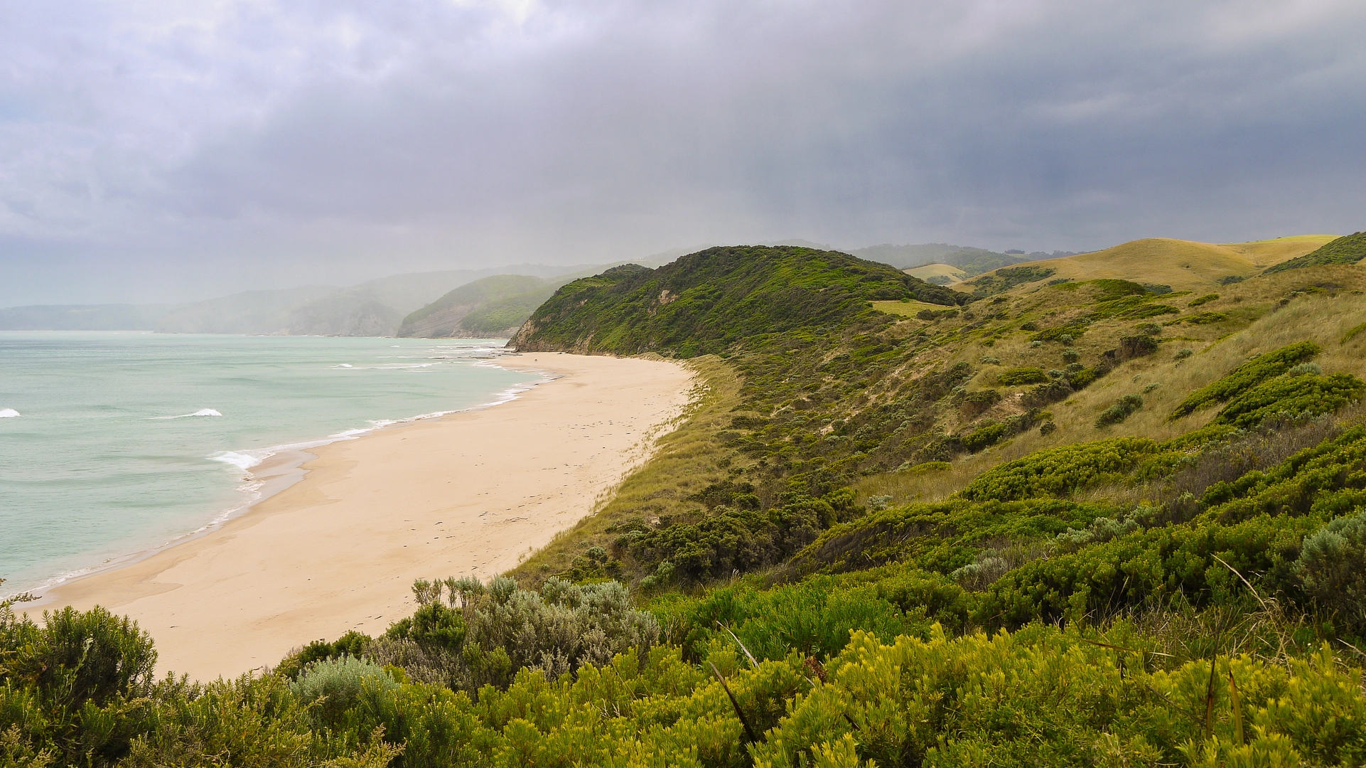 An image depicting the trail Twelve Apostles Lodge Walk and its surrounding area.