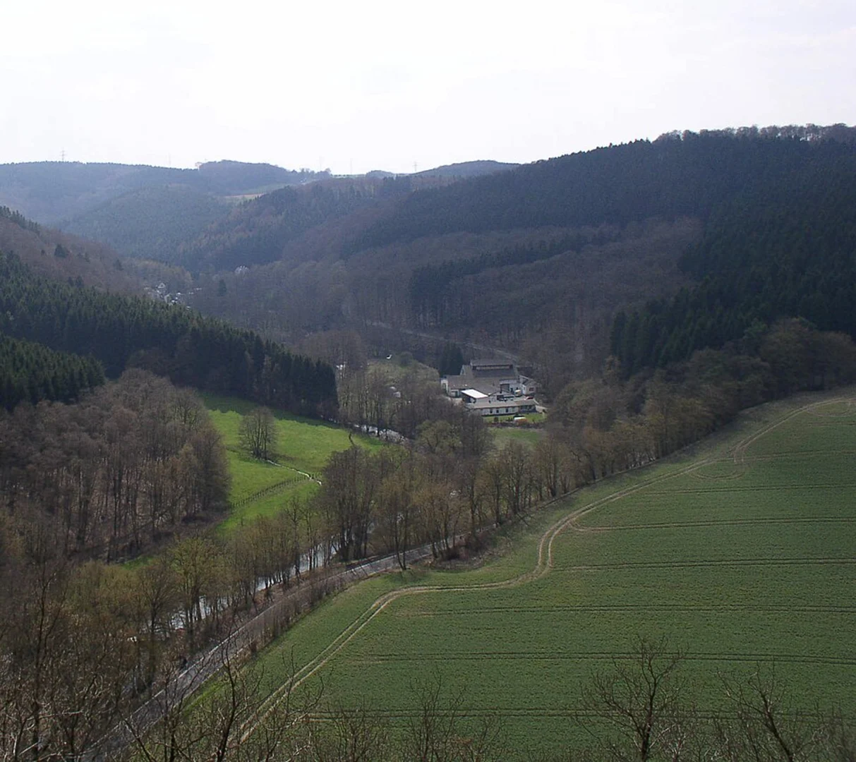 An image depicting the trail Wartenberg and Borbach Loop via Kohlensiepen Rundweg H1 and its surrounding area.