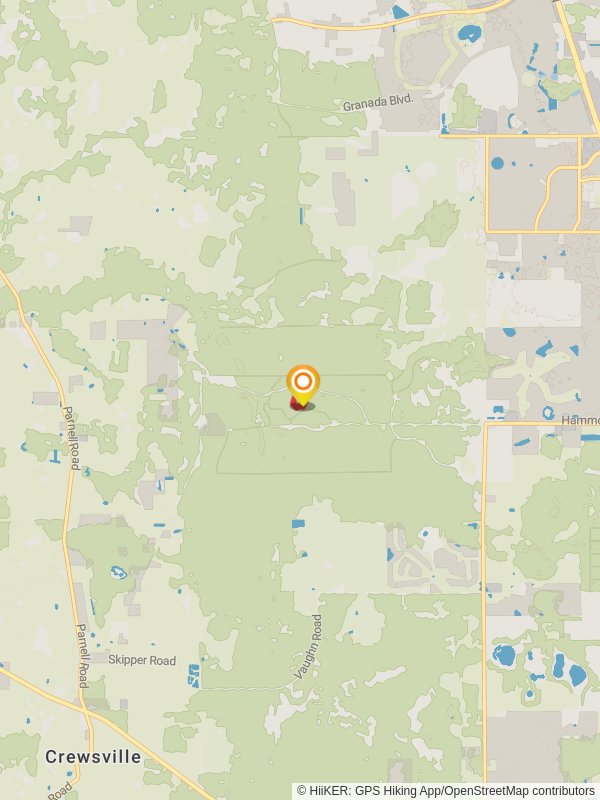 Young Hammock Loop Trail