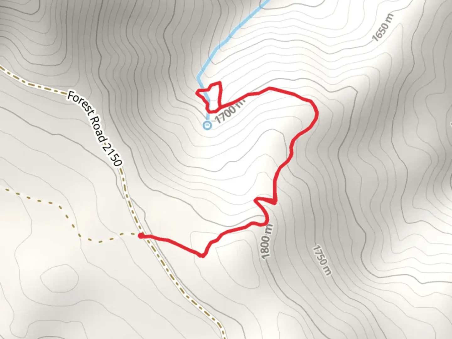 An image depicting the trail Cedar Grove Trail and its surrounding area.