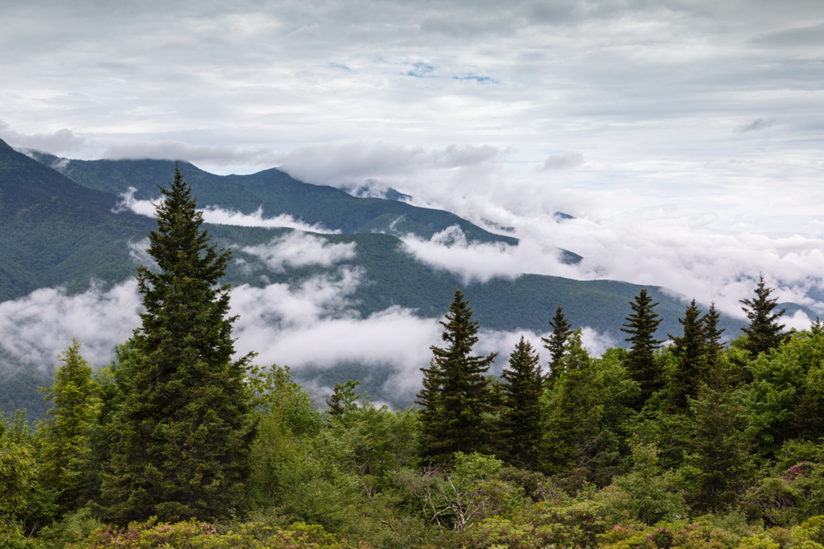 An image depicting the trail Black Mountain Crest to Deep Gap Trail and its surrounding area.