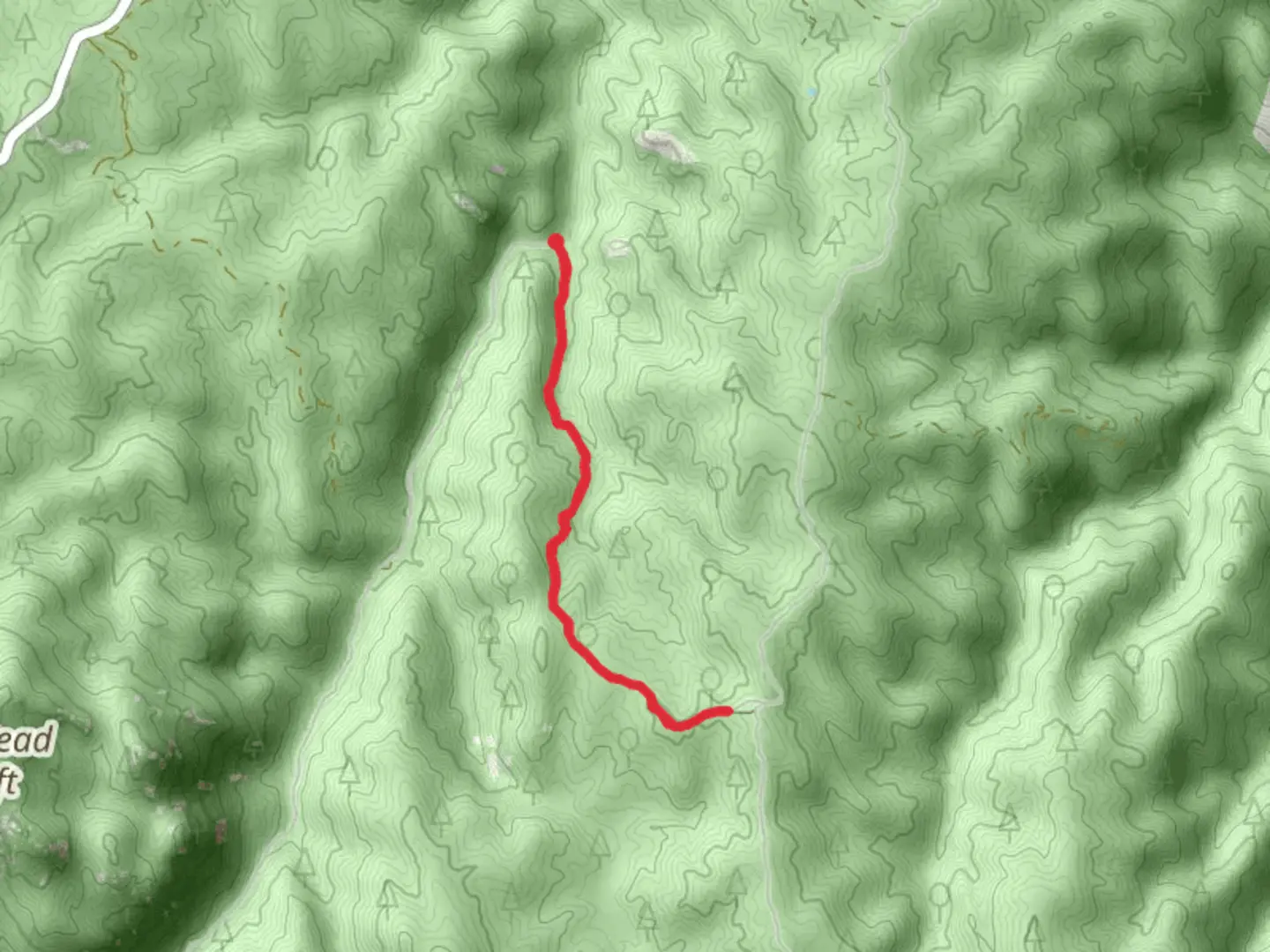 An image depicting the trail Watson Park and its surrounding area.