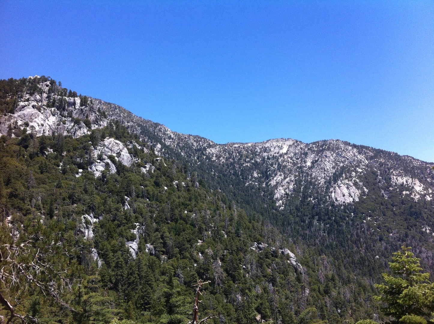 An image depicting the trail Suicide Rock via Deer Springs Trail and its surrounding area.