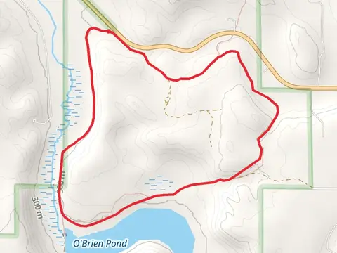 Warner Creek Pathway Loop
