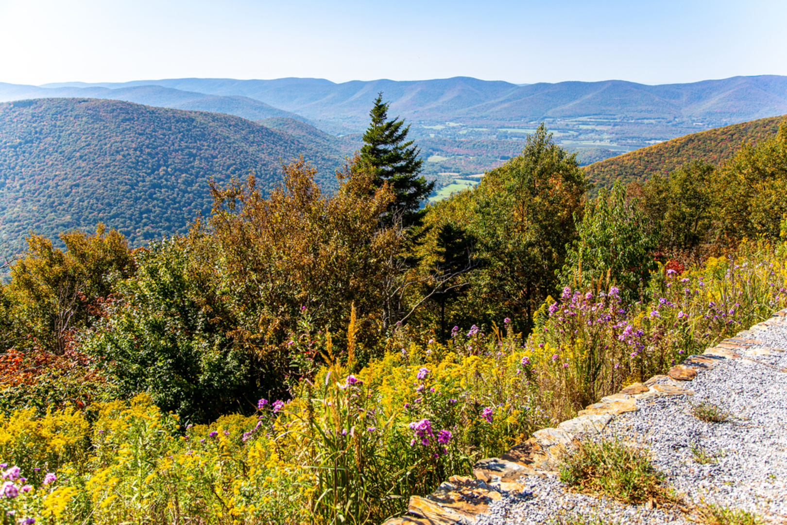 An image depicting the trail Mount Greylock via Gould Trail and its surrounding area.