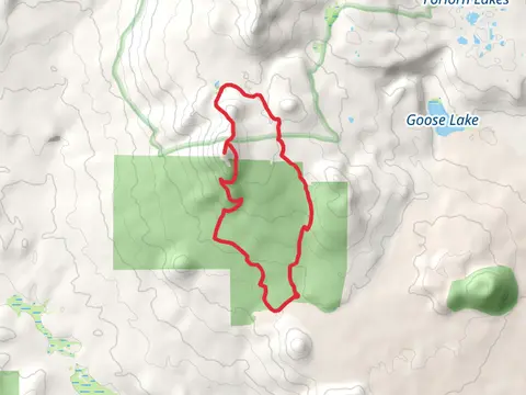 Red Mountain via PCT Loop