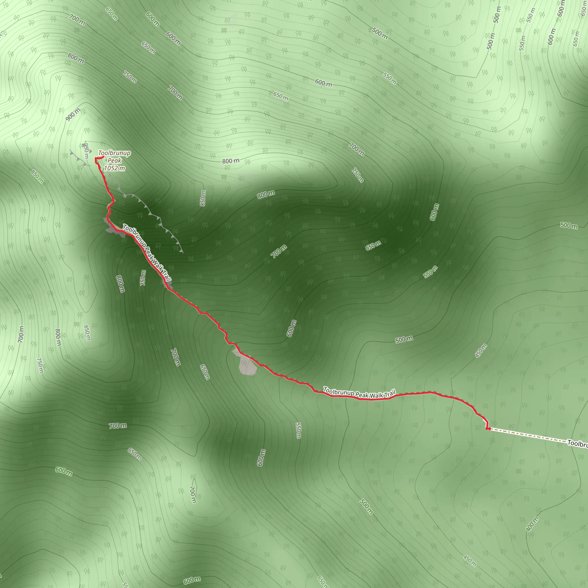 Mt Toolbrunup Walk mobile static map