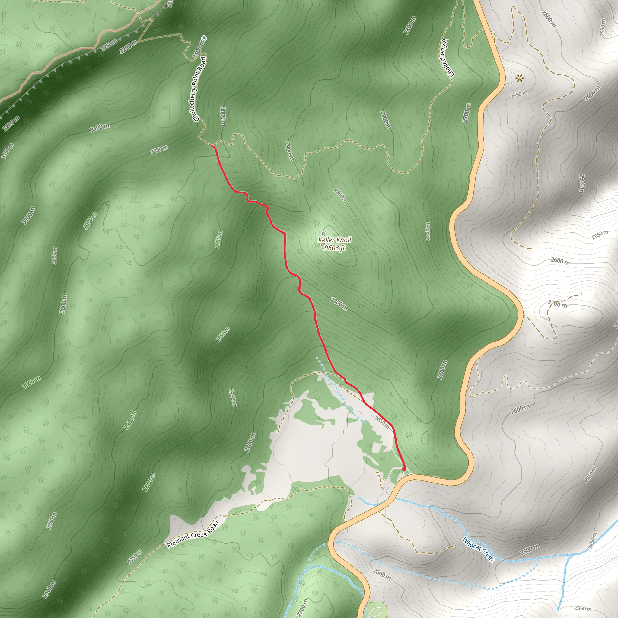 Wildcat Trail mobile static map