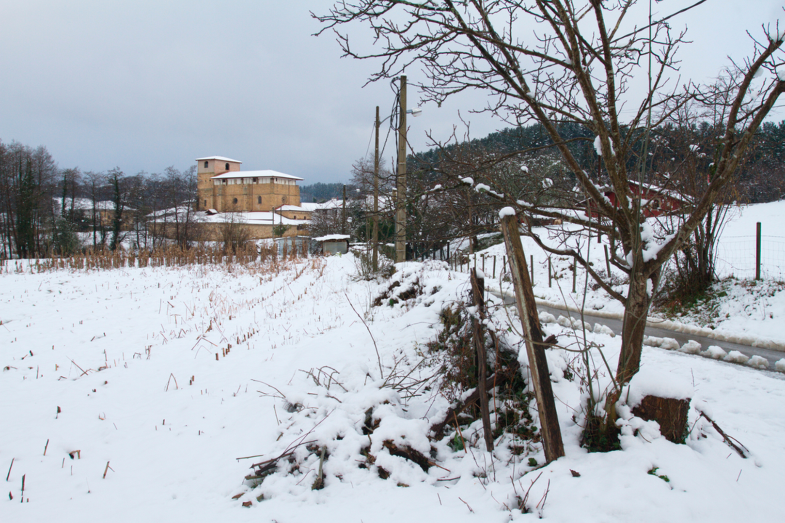 An image depicting the trail Larrabideak PR BI 254 and its surrounding area.