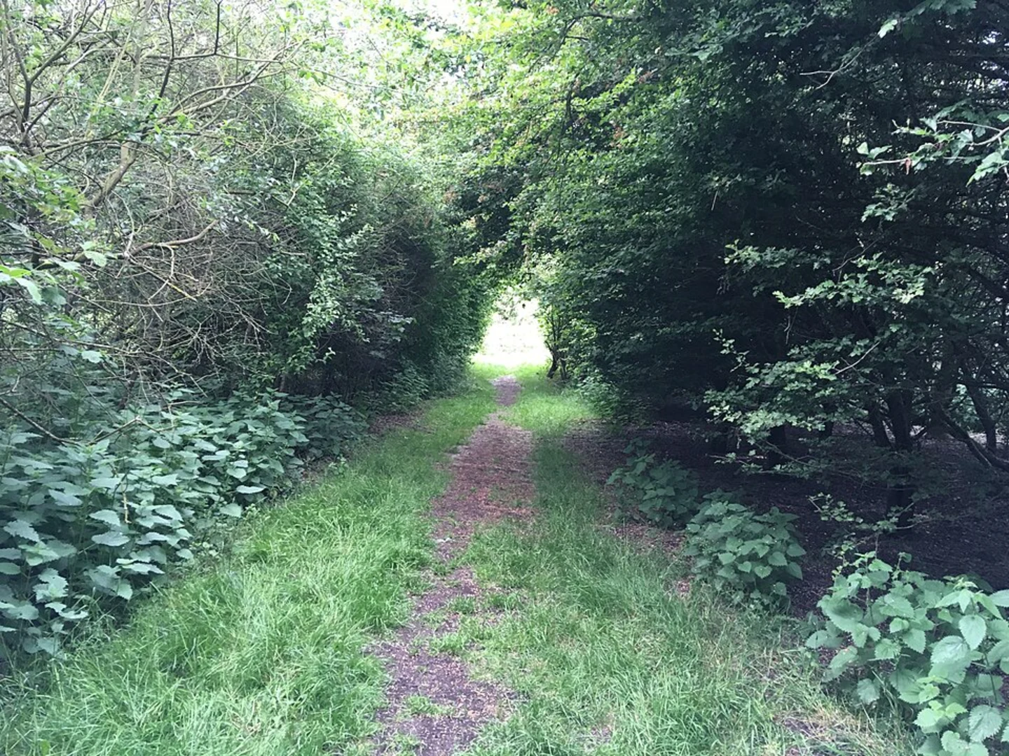 An image depicting the trail River Cam Walk - Waterbeach and its surrounding area.