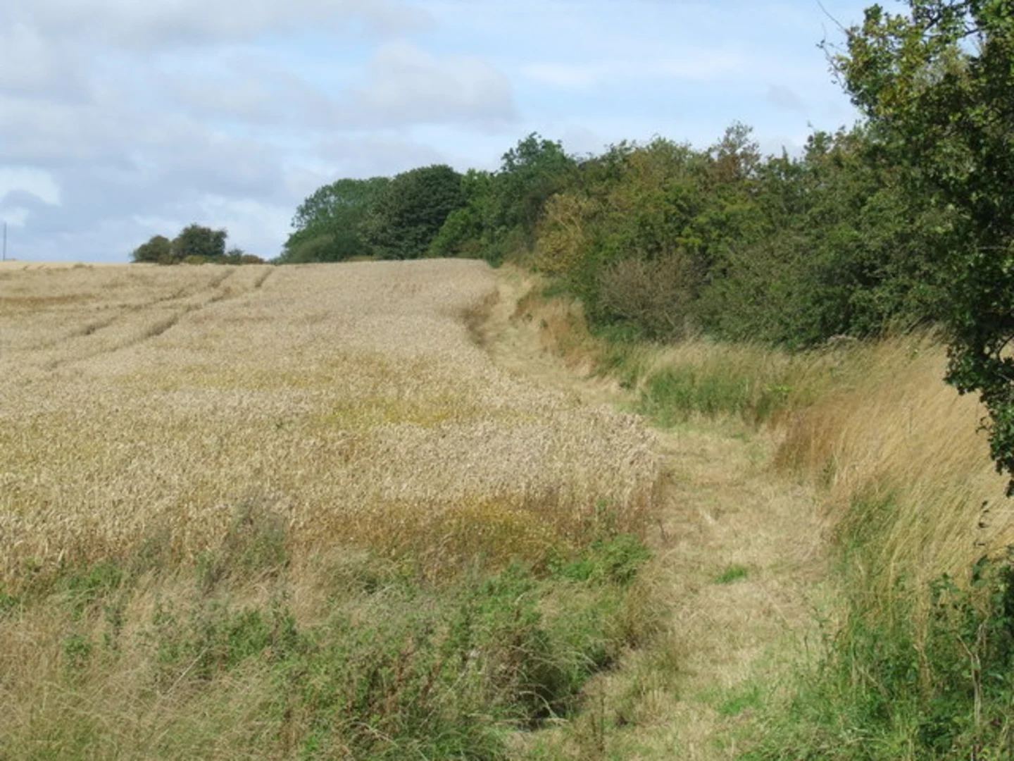 An image depicting the trail Purple Clover Leaf Walk and its surrounding area.