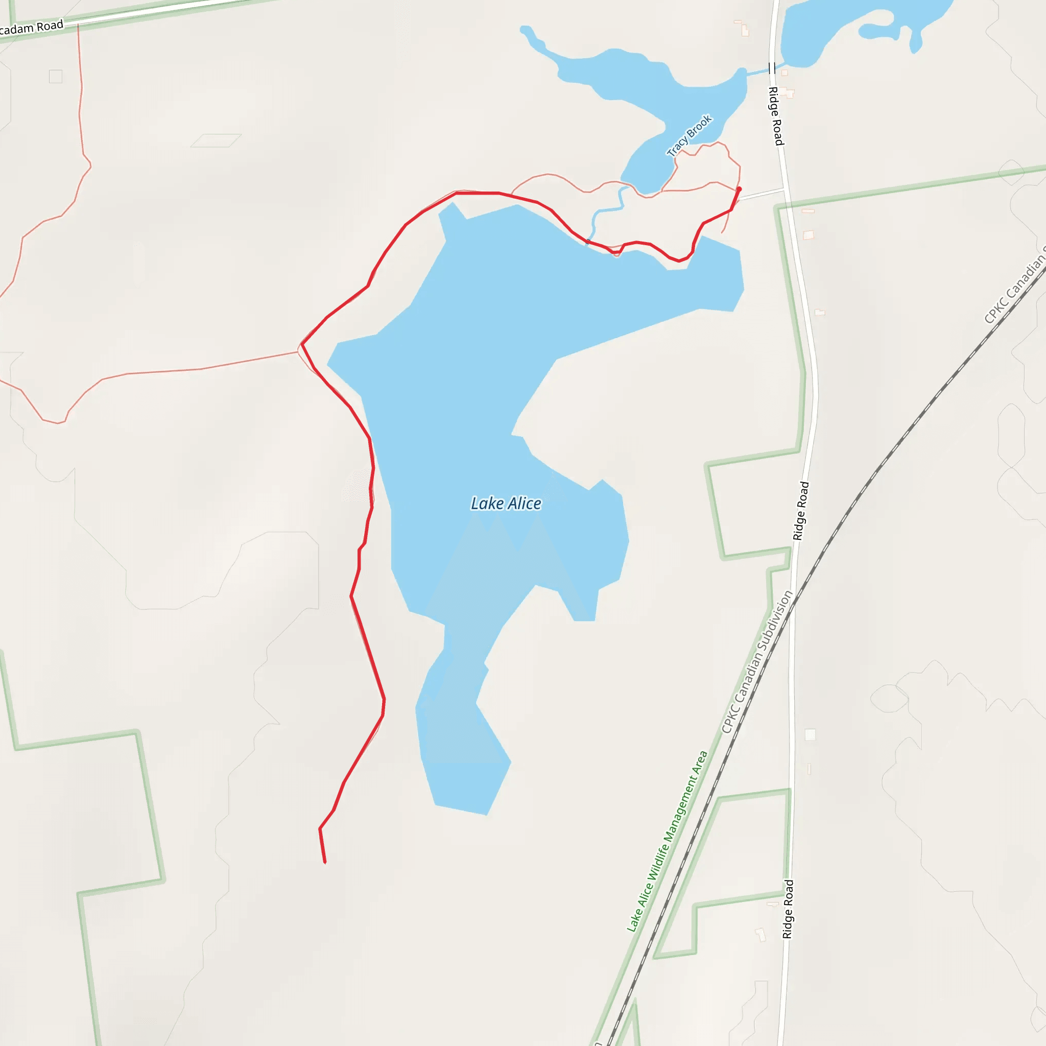 Lake Alice Trail mobile static map