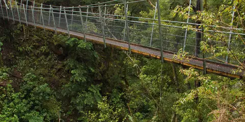 An image depicting the trail Lyell Creek Walk and its surrounding area.
