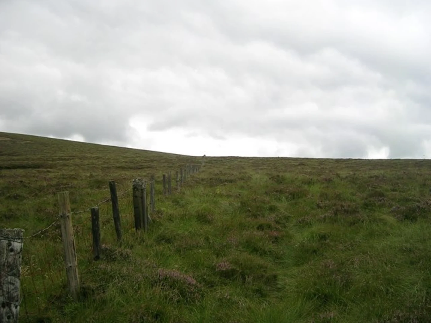An image depicting the trail Bloodybush Edge and Cuchal Law Loop - Linhope and its surrounding area.