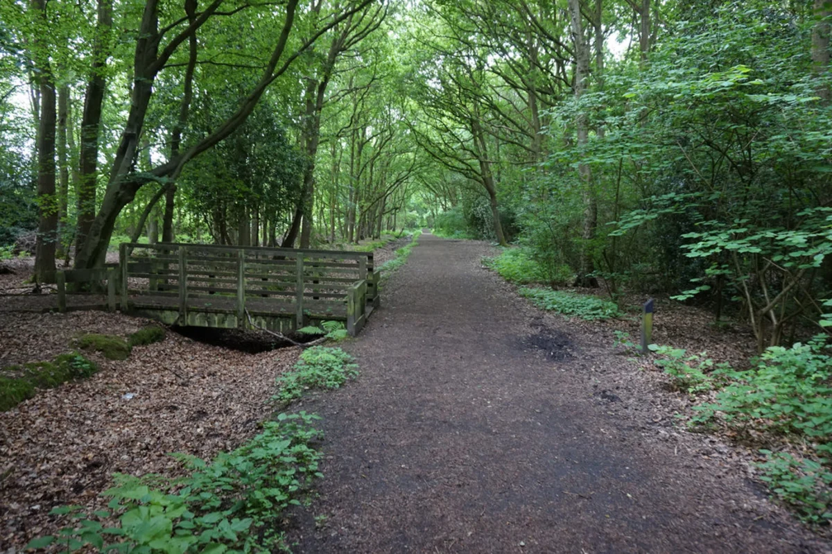 Sandal Beat Wood Loop