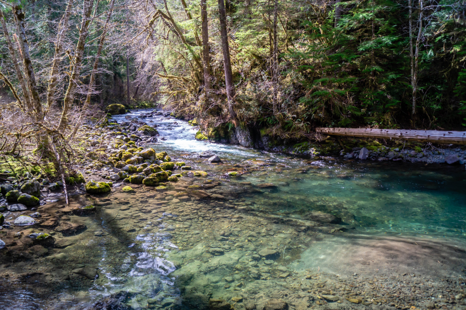 An image depicting the trail Falls View Canyon Trail and its surrounding area.