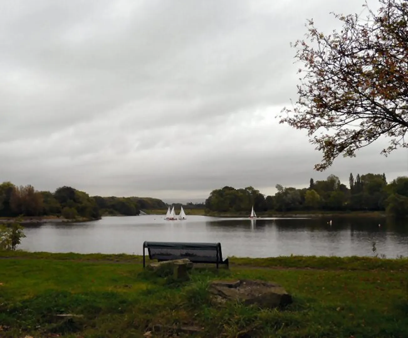 An image depicting the trail Debdale Park Loop and its surrounding area.