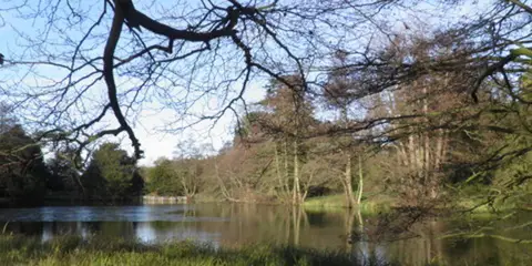 An image depicting the trail The parkland of Woburn Abbey and Eversholt from Woburn and its surrounding area.