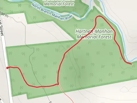 Hartnett-Manhan Memorial Forest