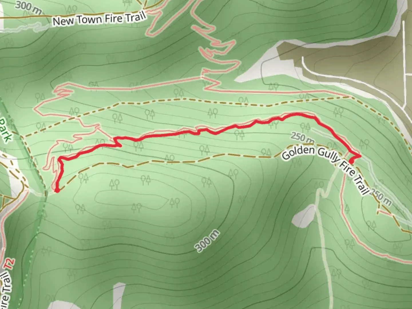 An image depicting the trail Tip Top Track and its surrounding area.