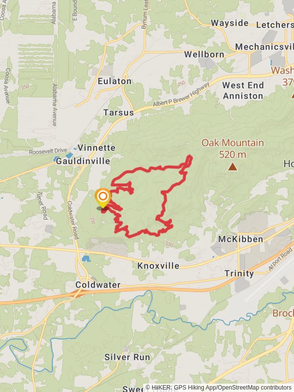 Baby Bear and Bomb Dog Loop