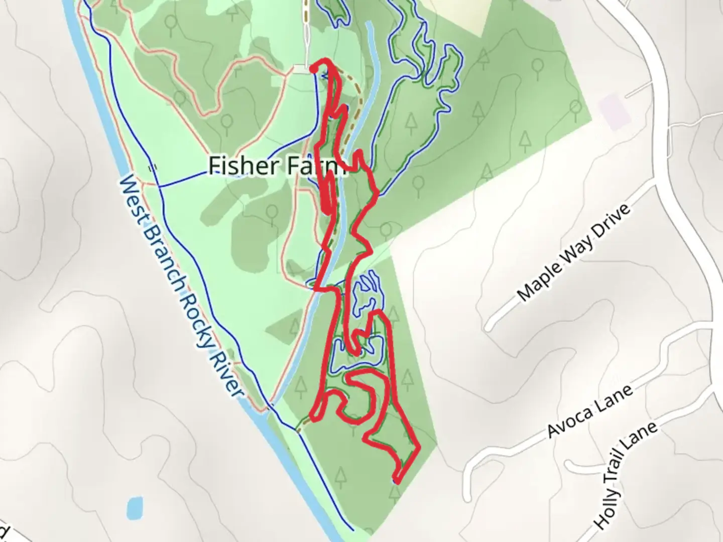 An image depicting the trail Main Loop Trail and its surrounding area.