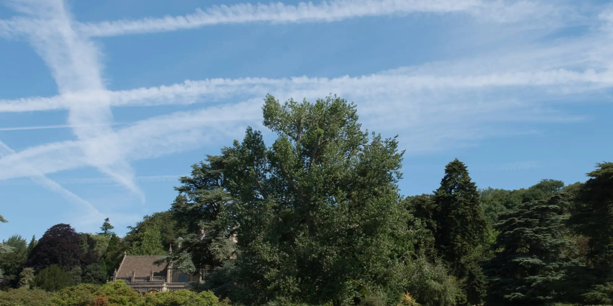 An image depicting the trail Wraxall Circular from Tyntesfield and its surrounding area.
