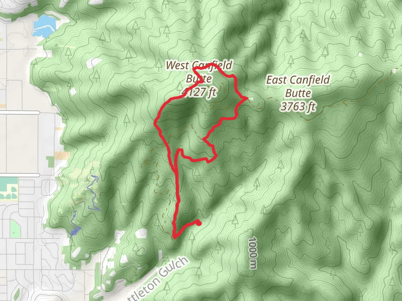 West Canfield Butte Loop