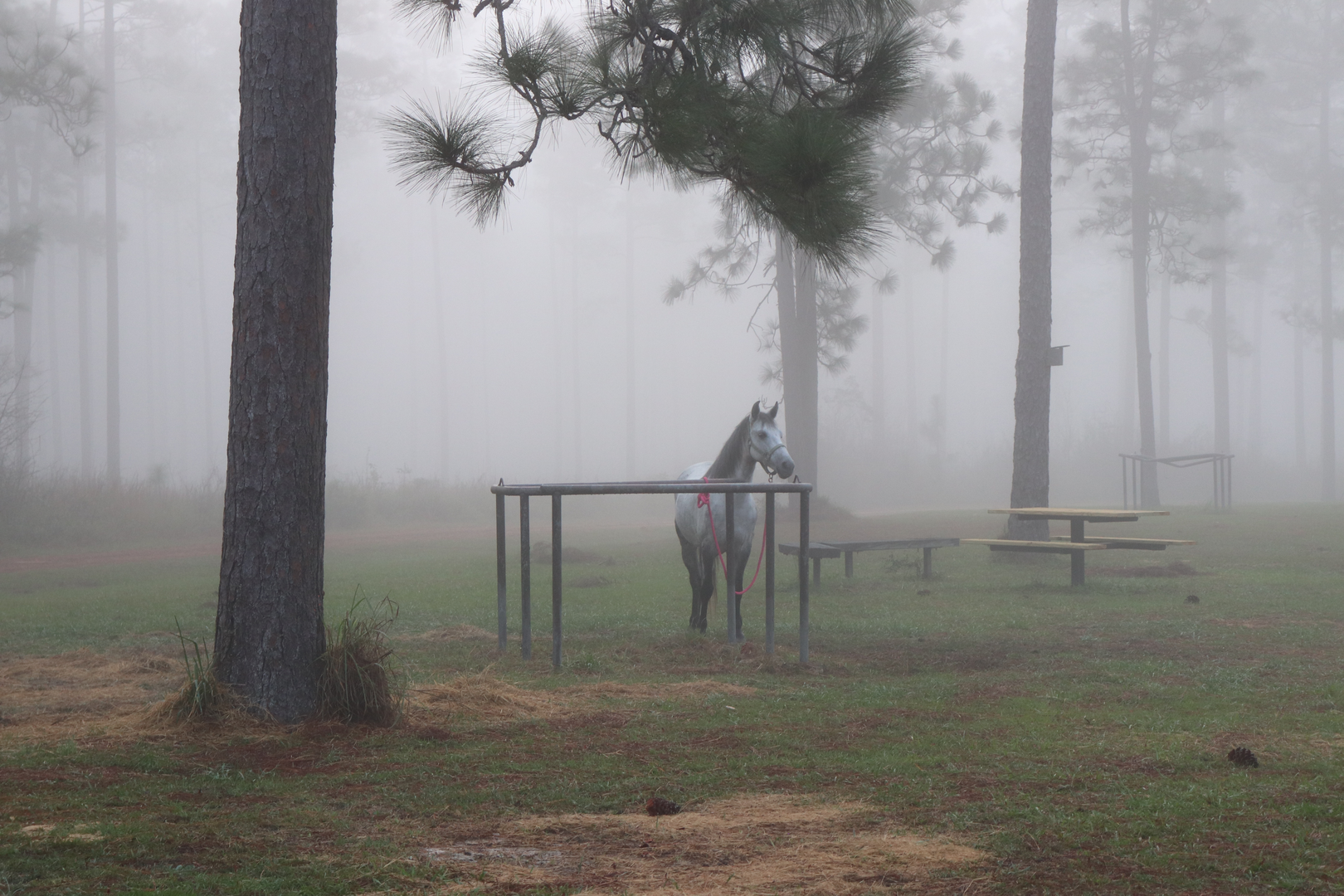 An image depicting the trail Tuxachanie Trail and its surrounding area.